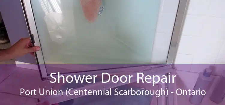 Shower Door Repair Port Union (Centennial Scarborough) - Ontario