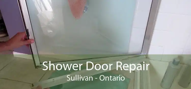 Shower Door Repair Sullivan - Ontario