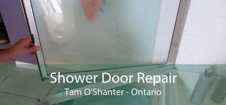 Shower Door Repair Tam O'Shanter - Ontario