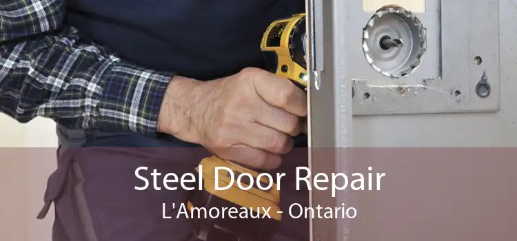 Steel Door Repair L'Amoreaux - Ontario
