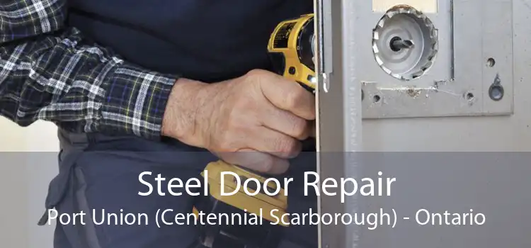 Steel Door Repair Port Union (Centennial Scarborough) - Ontario