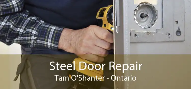 Steel Door Repair Tam O'Shanter - Ontario