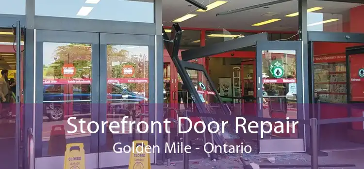 Storefront Door Repair Golden Mile - Ontario