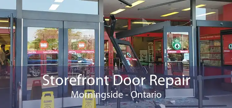 Storefront Door Repair Morningside - Ontario