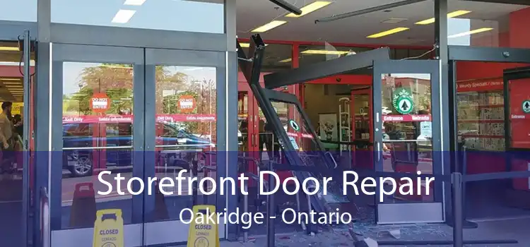 Storefront Door Repair Oakridge - Ontario