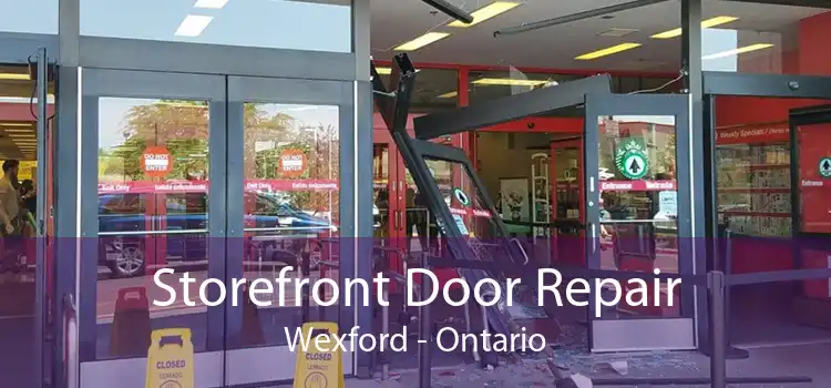 Storefront Door Repair Wexford - Ontario