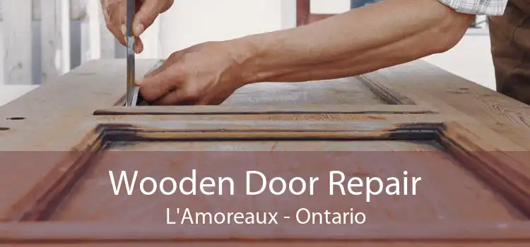 Wooden Door Repair L'Amoreaux - Ontario