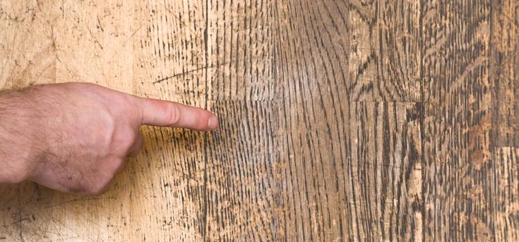 Wood Door Scratch Repair in Guildwood